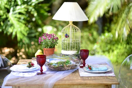 Garden furniture nature