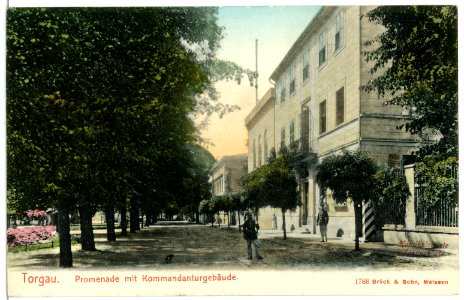 01788-Torgau-1901-Promenade-Brück & Sohn Kunstverlag