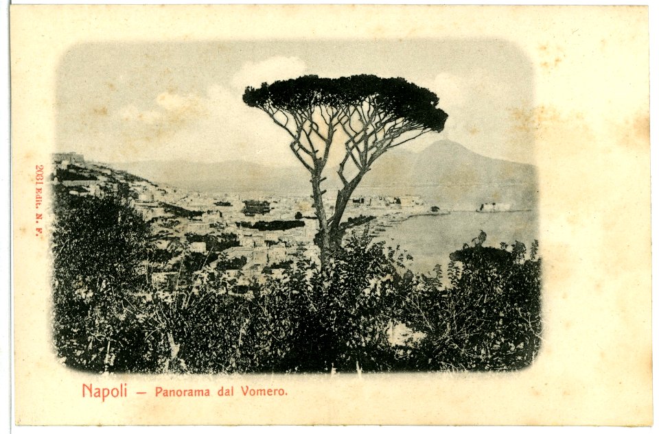 02031-Napoli-1901-Panorama dal Vomero-Brück & Sohn Kunstverlag