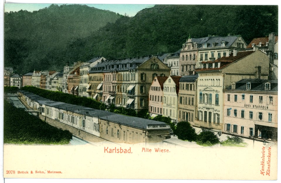02078-Karlsbad-1901-Alte Wiese-Brück & Sohn Kunstverlag