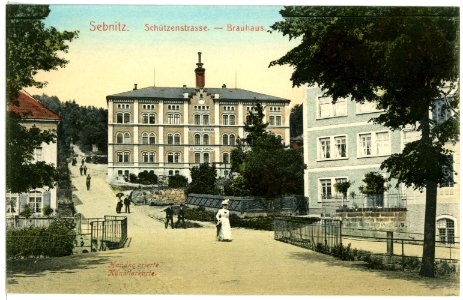 01639-Sebnitz-1901-Schützenstraße und Brauhaus-Brück & Sohn Kunstverlag
