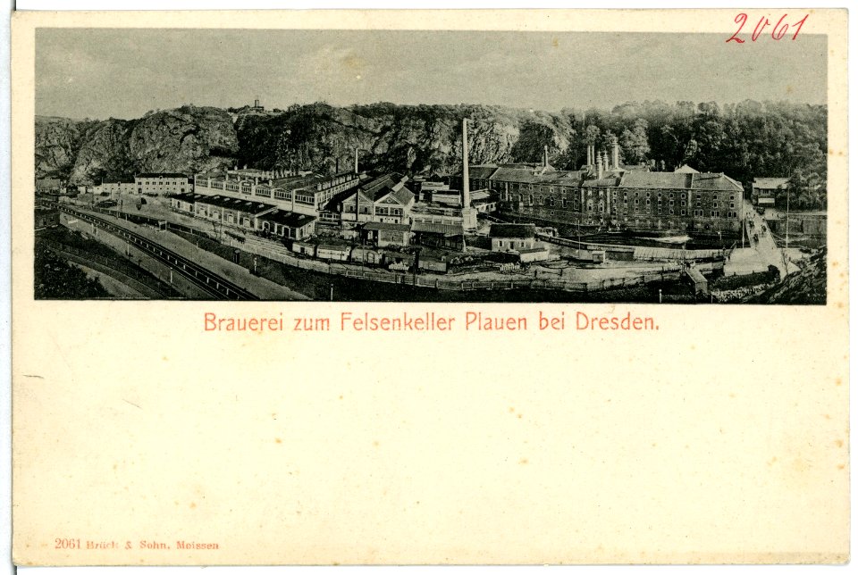 02061-Plauen b.Dresden-1901-Brauerei zum Felsenkeller-Brück & Sohn Kunstverlag