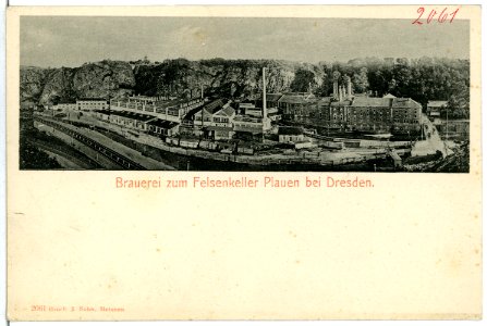 02061-Plauen b.Dresden-1901-Brauerei zum Felsenkeller-Brück & Sohn Kunstverlag