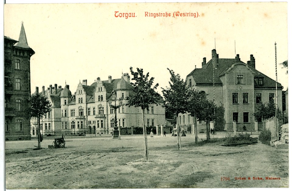 01794-Torgau-1901-Ringstraße (Westring)-Brück & Sohn Kunstverlag