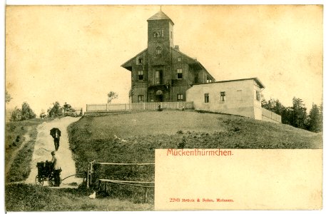 02289-Mückenberg-1902-Mückentürmchen-Brück & Sohn Kunstverlag