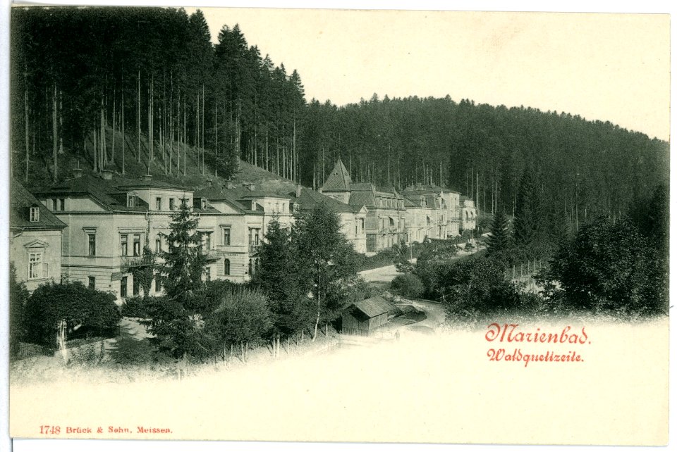 01748-Marienbad-1901-Waldquellzeile-Brück & Sohn Kunstverlag