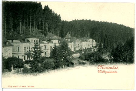 01748-Marienbad-1901-Waldquellzeile-Brück & Sohn Kunstverlag