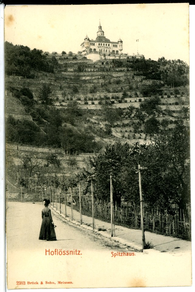 02383-Oberlößnitz-1902-Spitzhaus-Brück & Sohn Kunstverlag
