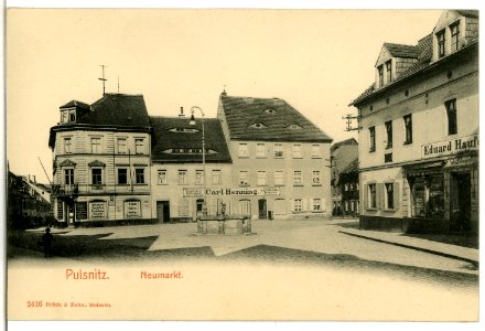 02416-Pulsnitz-1902-Neumarkt-Brück & Sohn Kunstverlag