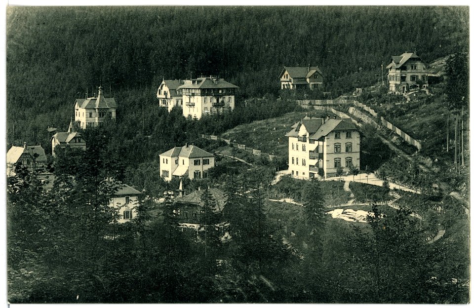 01774-Kipsdorf-1901-Villenkolonie-Brück & Sohn Kunstverlag
