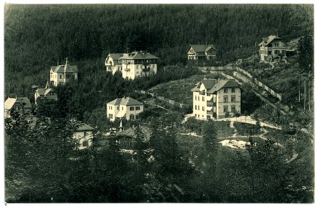 01774-Kipsdorf-1901-Villenkolonie-Brück & Sohn Kunstverlag