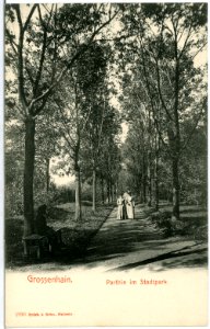 01990-Großenhain-1901-Partie im Stadtpark-Brück & Sohn Kunstverlag