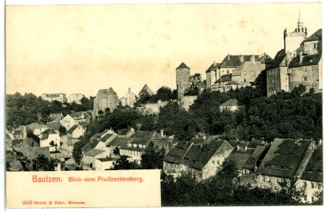 02513-Bautzen-1902-Blick vom Proitzschenberg auf die Stadt-Brück & Sohn Kunstverlag