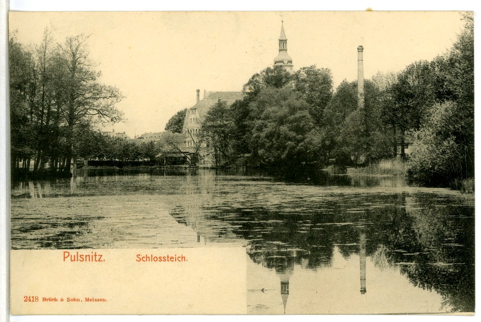 02418-Pulsnitz-1902-Schloßteich-Brück & Sohn Kunstverlag