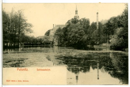 02418-Pulsnitz-1902-Schloßteich-Brück & Sohn Kunstverlag