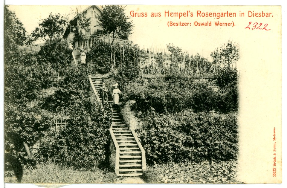 02322-Diesbar-1902-Hempels Rosengarten-Brück & Sohn Kunstverlag