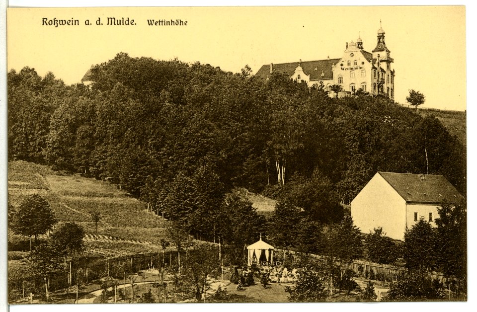 02422-Roßwein-1902-Wettinhöhe-Brück & Sohn Kunstverlag