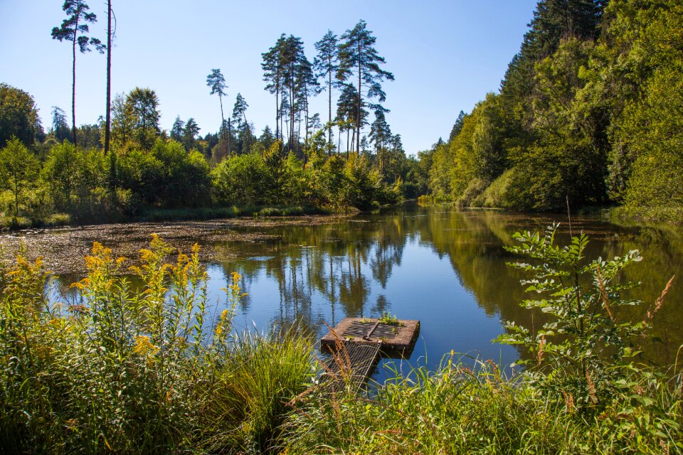 Water nature summer