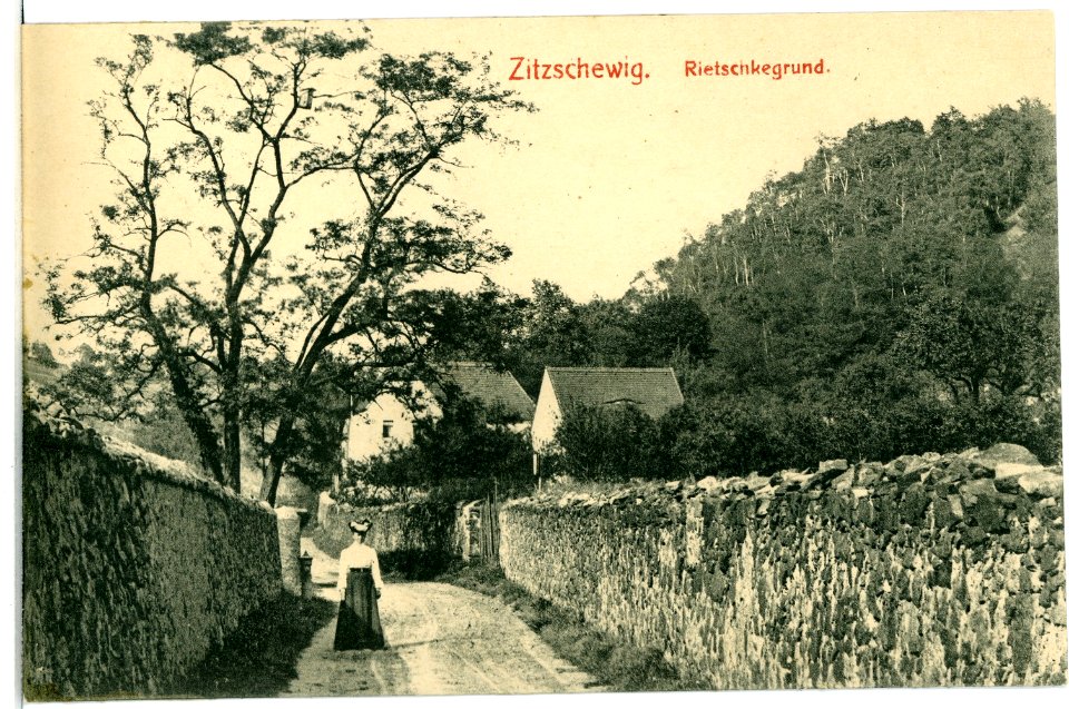 02348-Zitzschewig-1902-Rietschkegrund-Brück & Sohn Kunstverlag