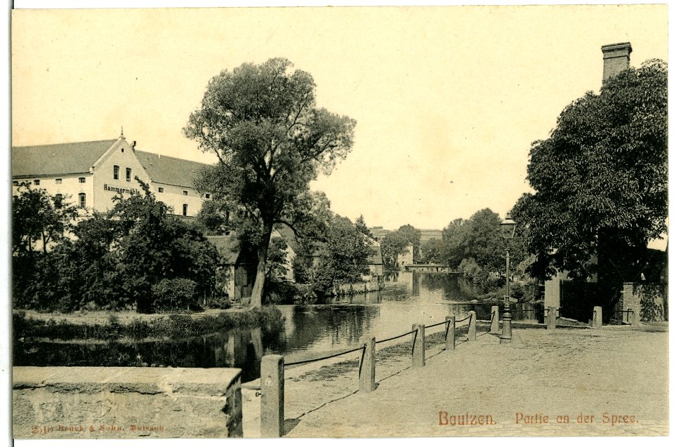 02510-Bautzen-1902-Hammermühle und Blick auf die Spree-Brück & Sohn Kunstverlag