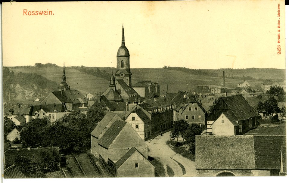 02423-Roßwein-1902-Blick auf Ort mit Kirche-Brück & Sohn Kunstverlag