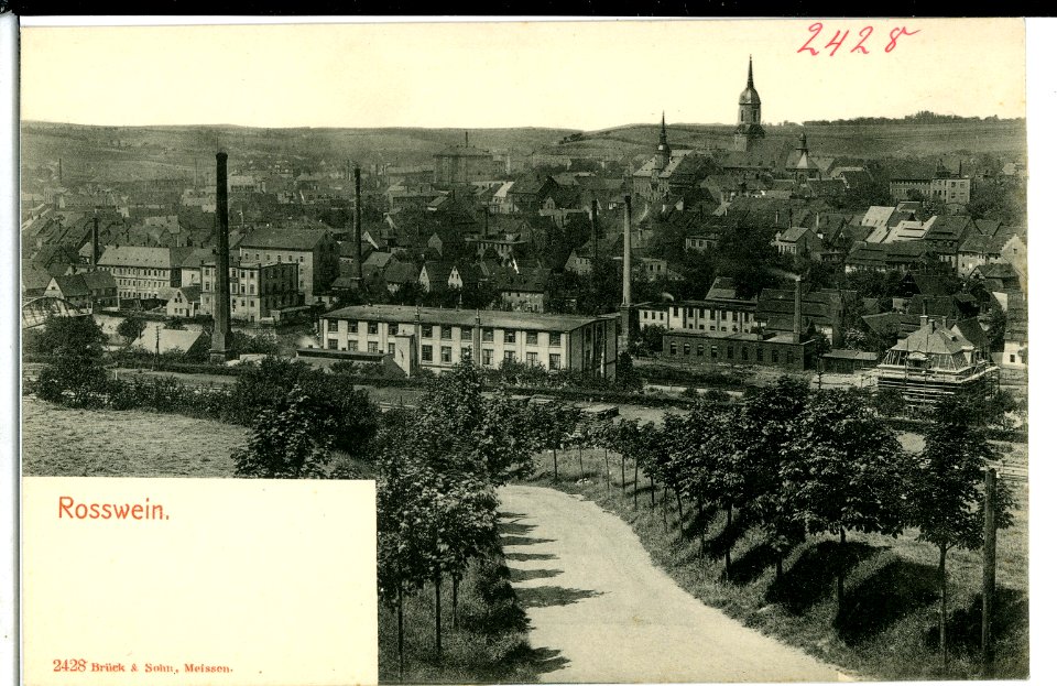 02428-Roßwein-1902-Blick auf Roßwein-Brück & Sohn Kunstverlag