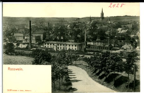 02428-Roßwein-1902-Blick auf Roßwein-Brück & Sohn Kunstverlag