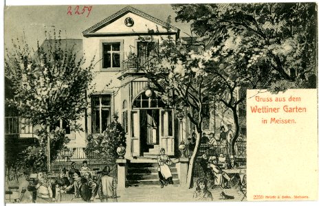 02259-Meißen-1902-Wettiner Garten-Brück & Sohn Kunstverlag