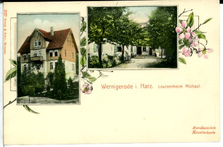 02327-Wernigerode-1902-Louisenheim Michael-Brück & Sohn Kunstverlag