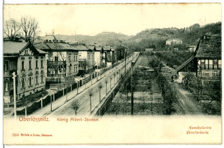 02230-Oberlößnitz-1901-König Albert Straße-Brück & Sohn Kunstverlag