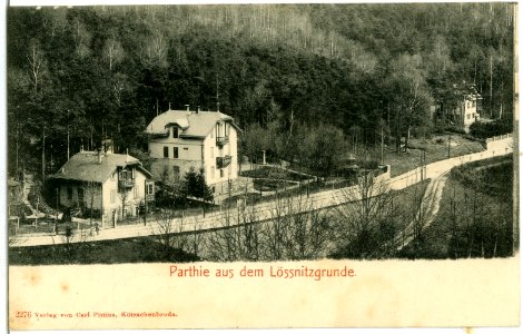 02276-Niederlößnitz-1902-Partie im Lößnitzgrund-Brück & Sohn Kunstverlag