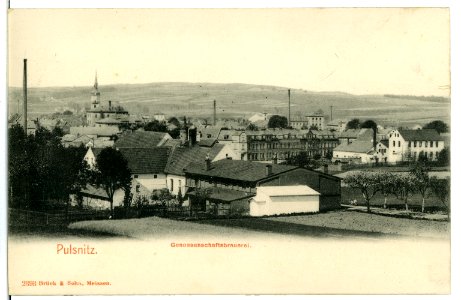 02393-Pulsnitz-1902-Genossenschaftsbrauerei-Brück & Sohn Kunstverlag