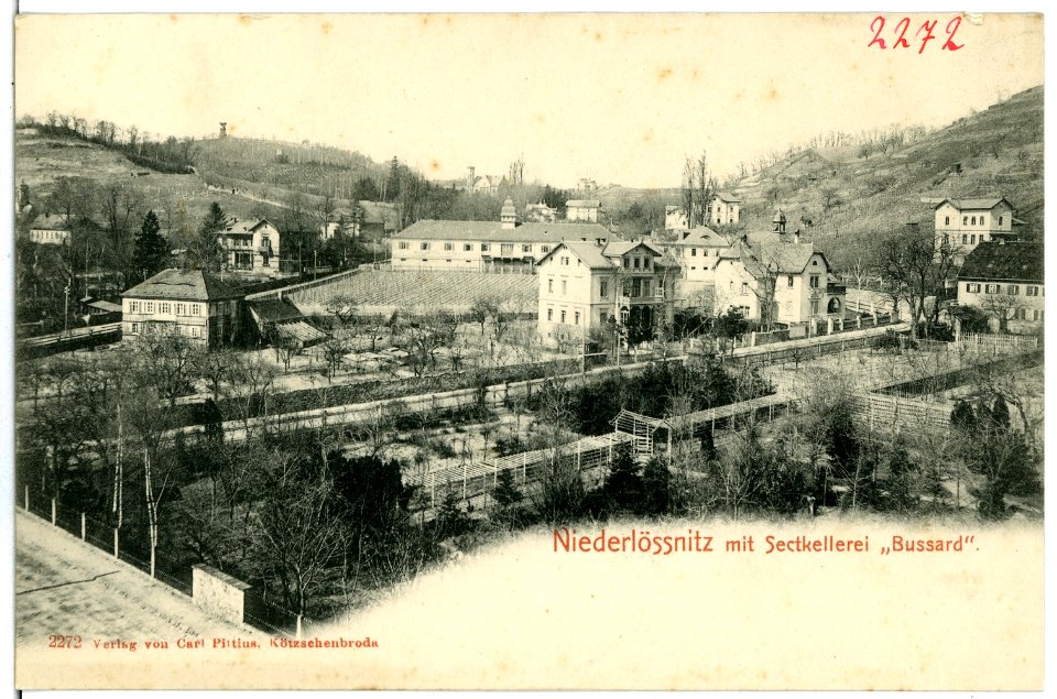 02272-Niederlößnitz-1902-Sektkellerei "Bussard"-Brück & Sohn Kunstverlag