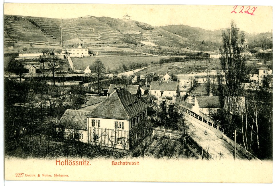 02227-Oberlößnitz-1901-Bachstraße-Brück & Sohn Kunstverlag