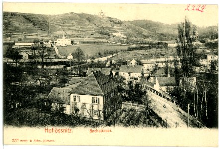 02227-Oberlößnitz-1901-Bachstraße-Brück & Sohn Kunstverlag
