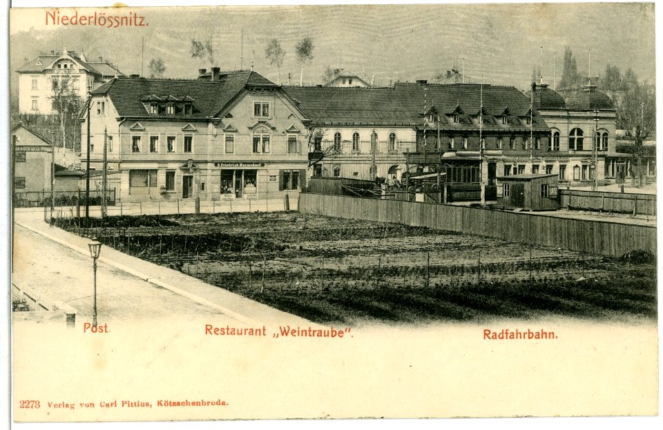 02273-Niederlößnitz-1902-Radfahrbahn, Restaurant "Weintraube"-Brück & Sohn Kunstverlag