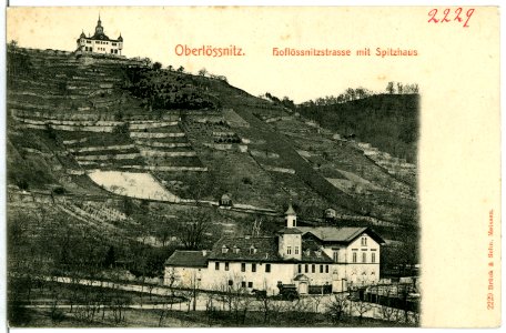 02229-Oberlößnitz-1901-Hoflößnitzstraße und Spitzhaus-Brück & Sohn Kunstverlag