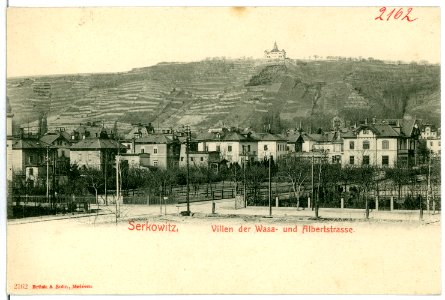 02162-Serkowitz-1901-Villen der Wasa- und Albertstraße-Brück & Sohn Kunstverlag