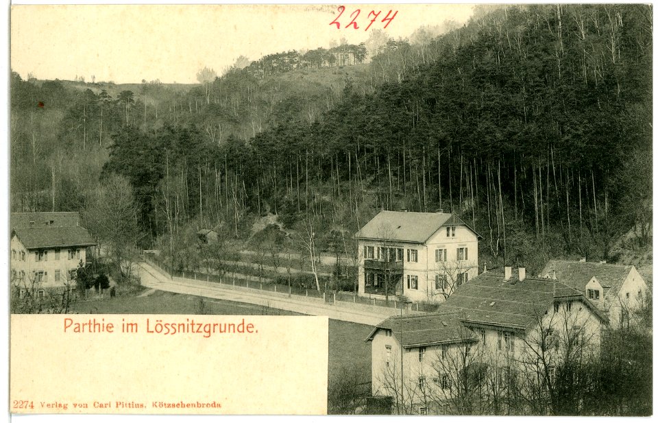 02274-Niederlößnitz-1902-Partie im Lößnitzgrund-Brück & Sohn Kunstverlag