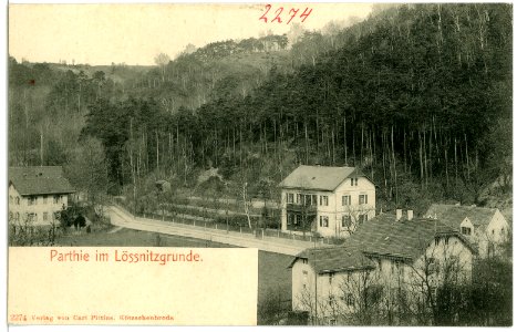 02274-Niederlößnitz-1902-Partie im Lößnitzgrund-Brück & Sohn Kunstverlag