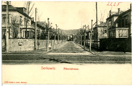 02225-Serkowitz-1901-Albertstraße-Brück & Sohn Kunstverlag