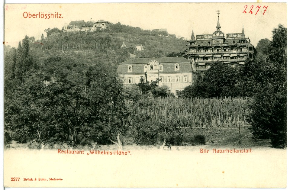 02277-Oberlößnitz-1902-Wilhelmshöhe, Bilz Naturheilanstalt-Brück & Sohn Kunstverlag