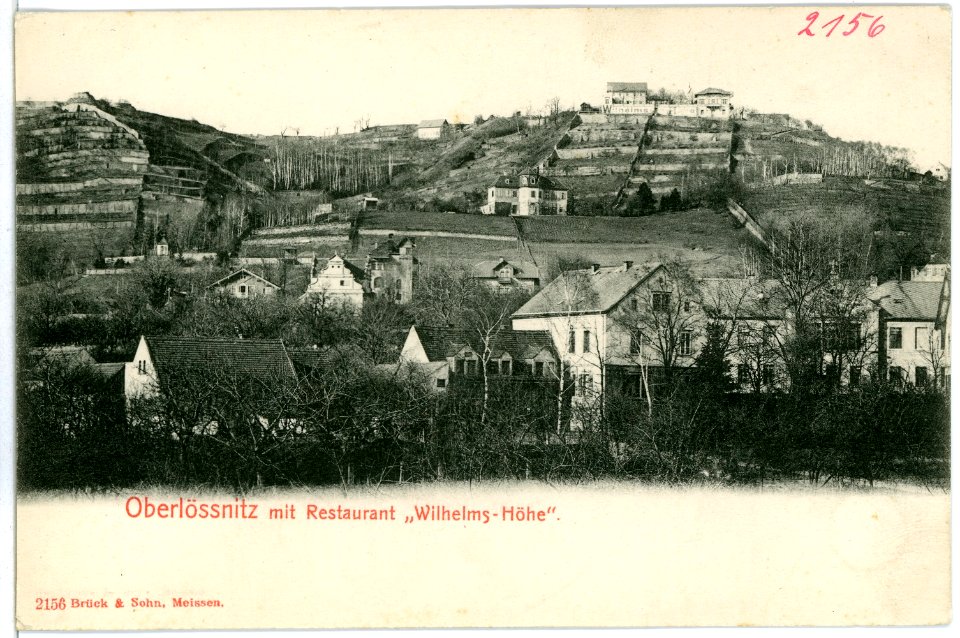 02156-Oberlößnitz-1901-Restaurant Wilhelms Höhe-Brück & Sohn Kunstverlag