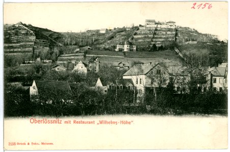 02156-Oberlößnitz-1901-Restaurant Wilhelms Höhe-Brück & Sohn Kunstverlag