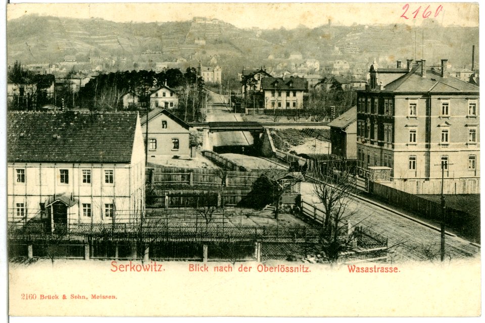 02160-Serkowitz-1901-Blick nach Oberlößnitz, Wasastraße-Brück & Sohn Kunstverlag