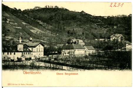 02231-Oberlößnitz-1901-Obere Bergstraße-Brück & Sohn Kunstverlag
