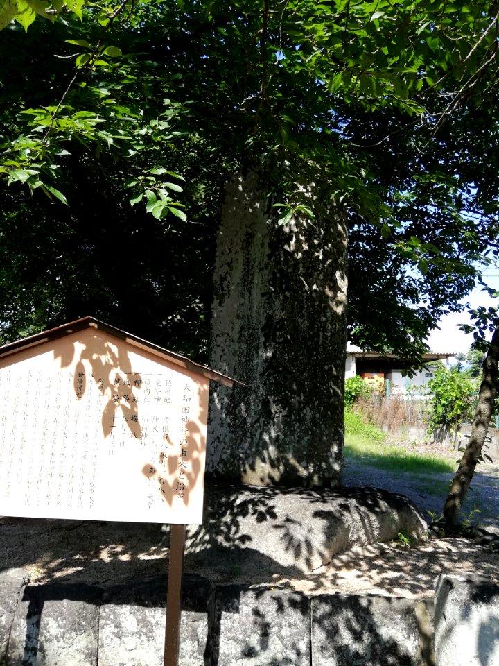Kiwada Shrine 20210621 09