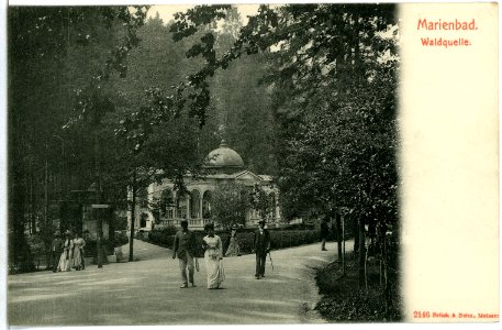 02146-Marienbad-1901-Waldquelle-Brück & Sohn Kunstverlag