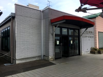Kosugi Station (12)