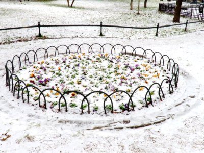 Krakow Straszewski 02